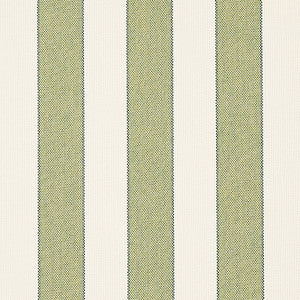Blumont Stripe Indoor/Outdoor Green 79055 by Schumacher Designer Fabric