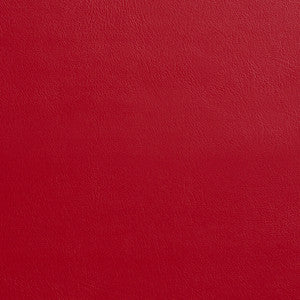 7917 Carmine by Charlotte Designer Fabric