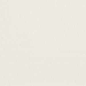 7925 White by Charlotte Designer Fabric