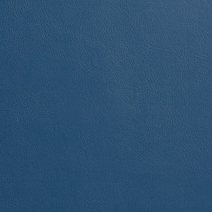 7938 Blue by Charlotte Designer Fabric