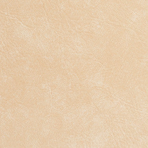 7949 Seashell by Charlotte Designer Fabric