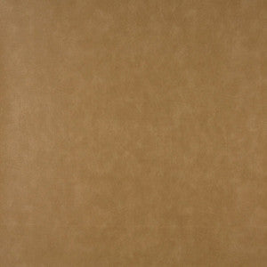 7957 Rawhide by Charlotte Designer Fabric