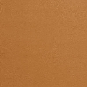 7969 Buckskin by Charlotte Designer Fabric