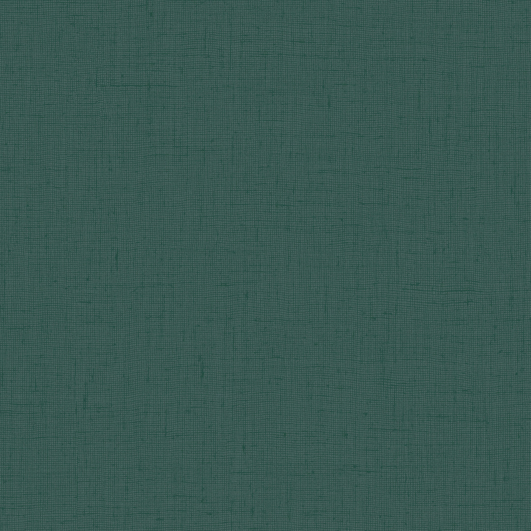 8007