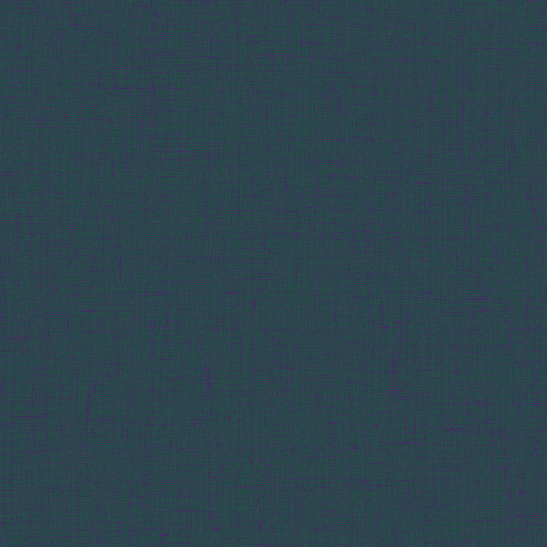 8009