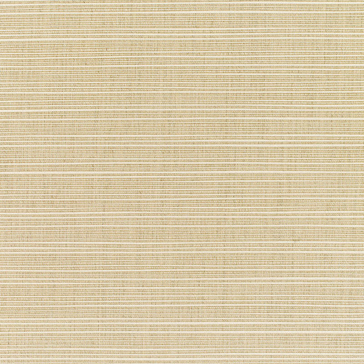 8011 77 Dupione Sand by Sunbrella Designer Fabric Cushion Furniture Drapery Fabrics > Sunbrella® Rain 100% Acrylic USA or Imported n/a 54" - Swanky Fabrics -