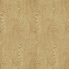 Wood Tan by Brunschwig & Fils Designer Fabric