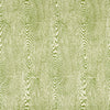 Wood Leaf by Brunschwig & Fils Designer Fabric