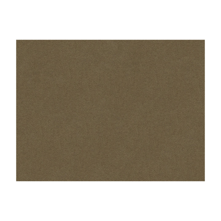 Chevalier Wool Taupe by Brunschwig & Fils Fabric Brunschwig & Fils Fabric Chevalier Wool TaupeFabric WOOL - 80%;POLYAMIDE - 20% Italy </p><p>Repeat: H: , V: 55 - Fabric Carolina -