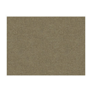 Chevalier Wool Pongee by Brunschwig & Fils Designer Fabric