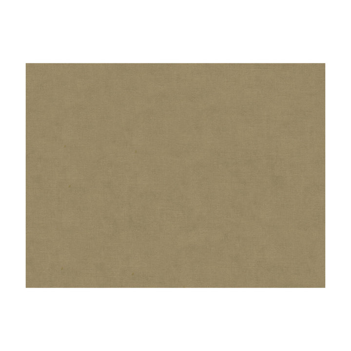 Charmant Velvet Cobblestone by Brunschwig & Fils Fabric Brunschwig & Fils Fabric Charmant Velvet CobblestoneFabric COTTON - 61%;VISCOSE - 39% Netherlands </p><p>Repeat: H: , V: 55 - Fabric Carolina -