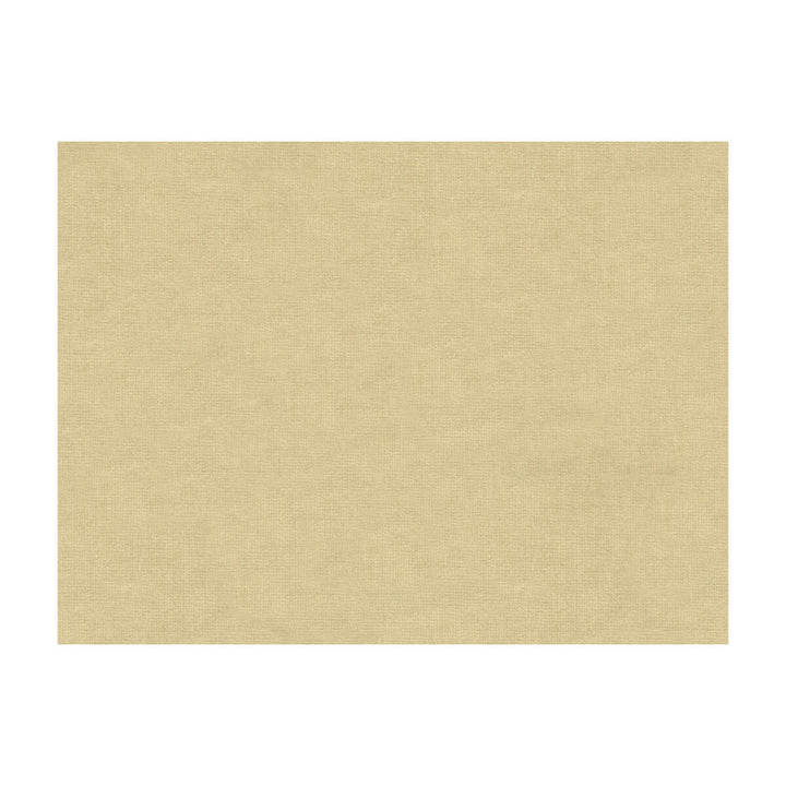 Charmant Velvet Ecru by Brunschwig & Fils Fabric Brunschwig & Fils Fabric Charmant Velvet EcruFabric COTTON - 61%;VISCOSE - 39% Netherlands </p><p>Repeat: H: , V: 55 - Fabric Carolina -