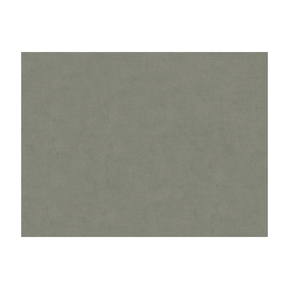 Charmant Velvet Pewter by Brunschwig & Fils Fabric Brunschwig & Fils Fabric Charmant Velvet PewterFabric COTTON - 61%;VISCOSE - 39% Netherlands </p><p>Repeat: H: , V: 55 - Fabric Carolina -