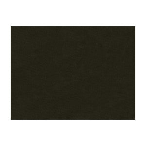 Charmant Velvet Coal by Brunschwig & Fils Designer Fabric
