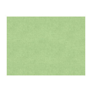 Charmant Velvet Celadon by Brunschwig & Fils Designer Fabric