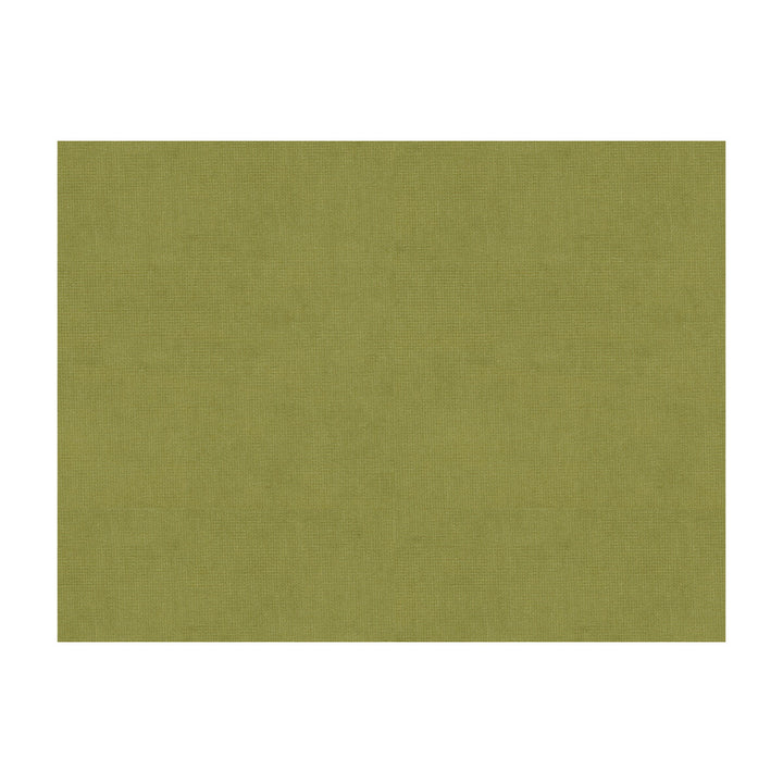 Charmant Velvet Fern by Brunschwig & Fils Fabric Brunschwig & Fils Fabric Charmant Velvet FernFabric COTTON - 61%;VISCOSE - 39% Netherlands </p><p>Repeat: H: , V: 55 - Fabric Carolina -