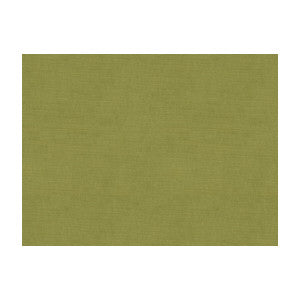 Charmant Velvet Fern by Brunschwig & Fils Designer Fabric