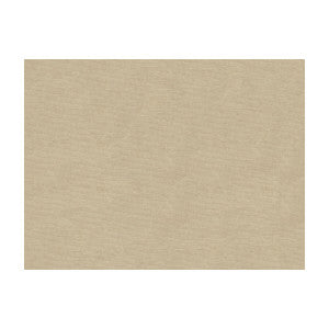 Charmant Velvet Mushroom by Brunschwig & Fils Designer Fabric