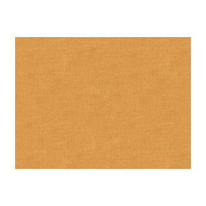 Charmant Velvet Raffia by Brunschwig & Fils Designer Fabric