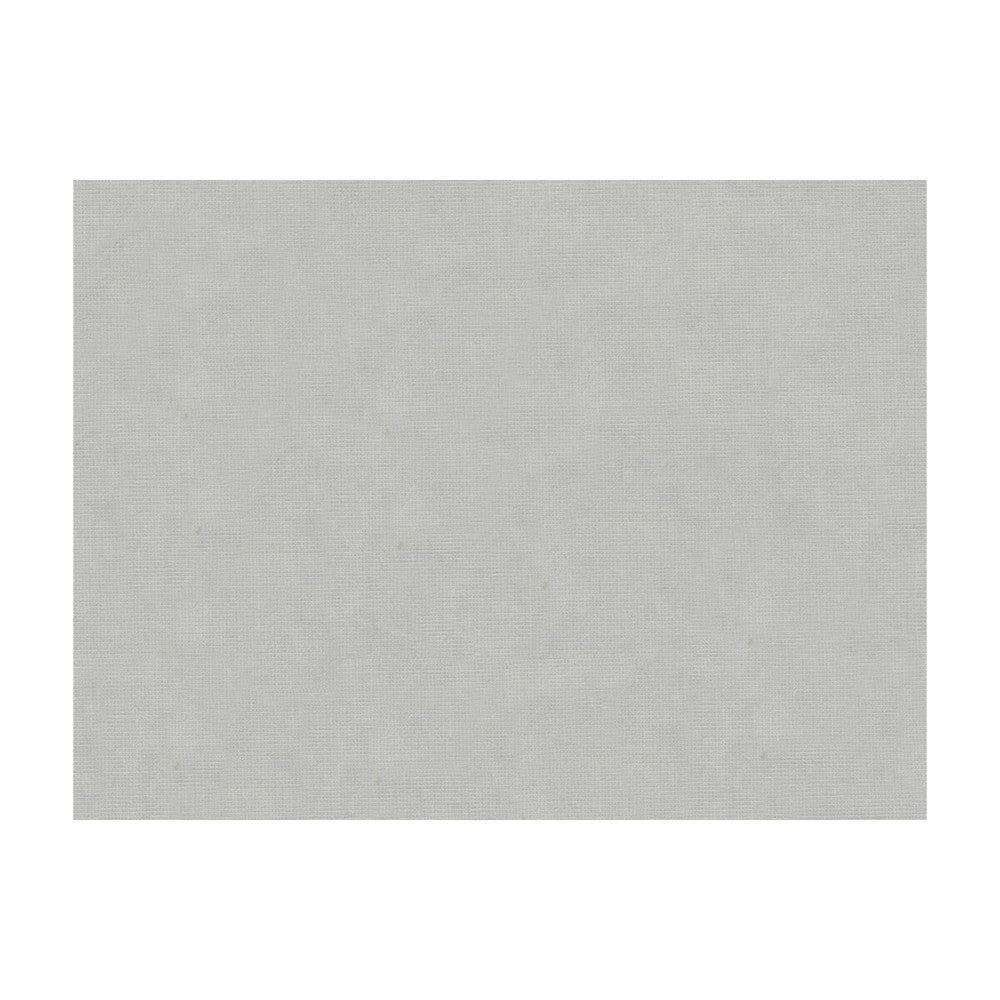 Charmant Velvet Silver by Brunschwig & Fils Fabric Brunschwig & Fils Fabric Charmant Velvet SilverFabric COTTON - 61%;VISCOSE - 39% Netherlands </p><p>Repeat: H: , V: 55 - Fabric Carolina -