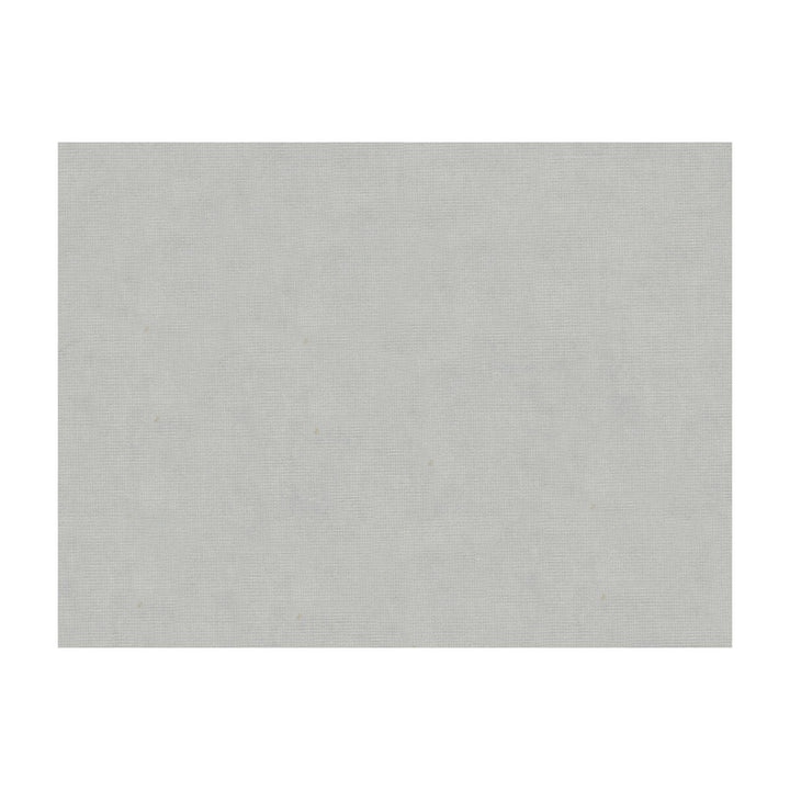 Charmant Velvet Silver by Brunschwig & Fils Fabric Brunschwig & Fils Fabric Charmant Velvet SilverFabric COTTON - 61%;VISCOSE - 39% Netherlands </p><p>Repeat: H: , V: 55 - Fabric Carolina -