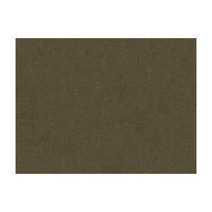 Charmant Velvet Ash by Brunschwig & Fils Designer Fabric