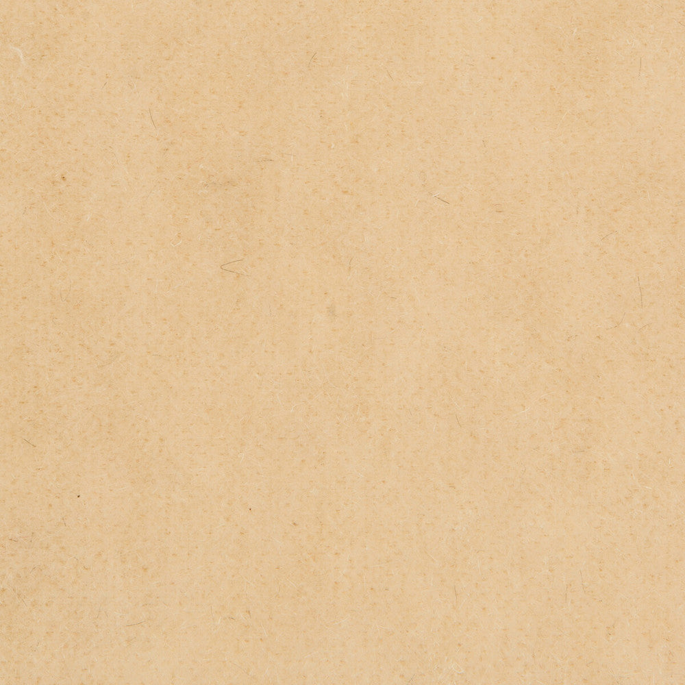 Bachelor Mohair Almond by Brunschwig & Fils Fabric Brunschwig & Fils Fabric Bachelor Mohair AlmondFabric COTTON - 54%;MOHAIR - 46% Netherlands </p><p>Repeat: H: , V: 55 - Fabric Carolina -