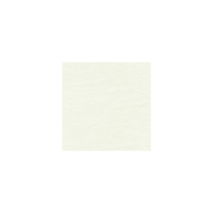 Felice Ivory by Brunschwig & Fils Designer Fabric