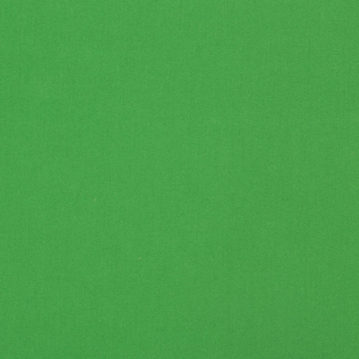 Adrien Cotton Green by Brunschwig & Fils Fabric Brunschwig & Fils Fabric Adrien Cotton GreenFabric COTTON - 100% India </p><p>Repeat: H: 0, V: 0 58 - Fabric Carolina -