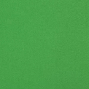 Adrien Cotton Green by Brunschwig & Fils Designer Fabric