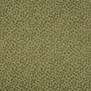 La Panthere Velvet Moss by Brunschwig & Fils Designer Fabric