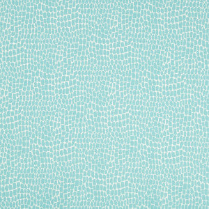 Nile Print Aqua by Brunschwig & Fils Designer Fabric