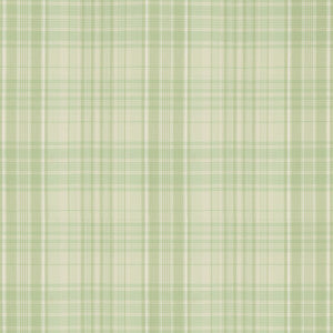 Guernsey Check Celery by Brunschwig & Fils Designer Fabric