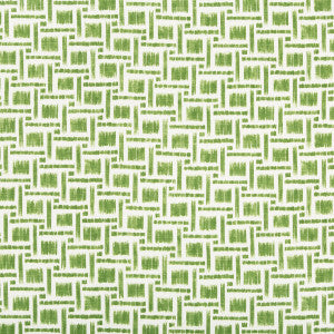 Mira Print Leaf by Brunschwig & Fils Designer Fabric