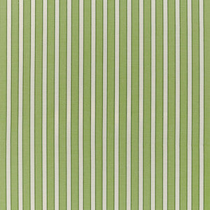 Rouen Stripe Green by Brunschwig & Fils Designer Fabric