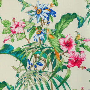Anima Print Ivory by Brunschwig & Fils Designer Fabric