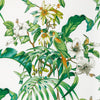 Anima Print Leaf by Brunschwig & Fils Designer Fabric