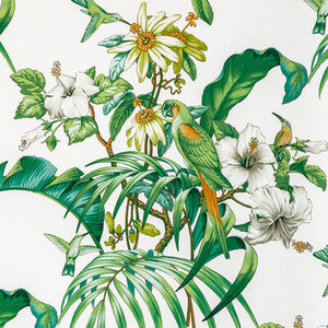 Anima Print Leaf by Brunschwig & Fils Designer Fabric