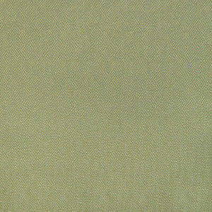 Pipet Texture Leaf 8023152.3.0 By Brunschwig & Fils Designer Fabric