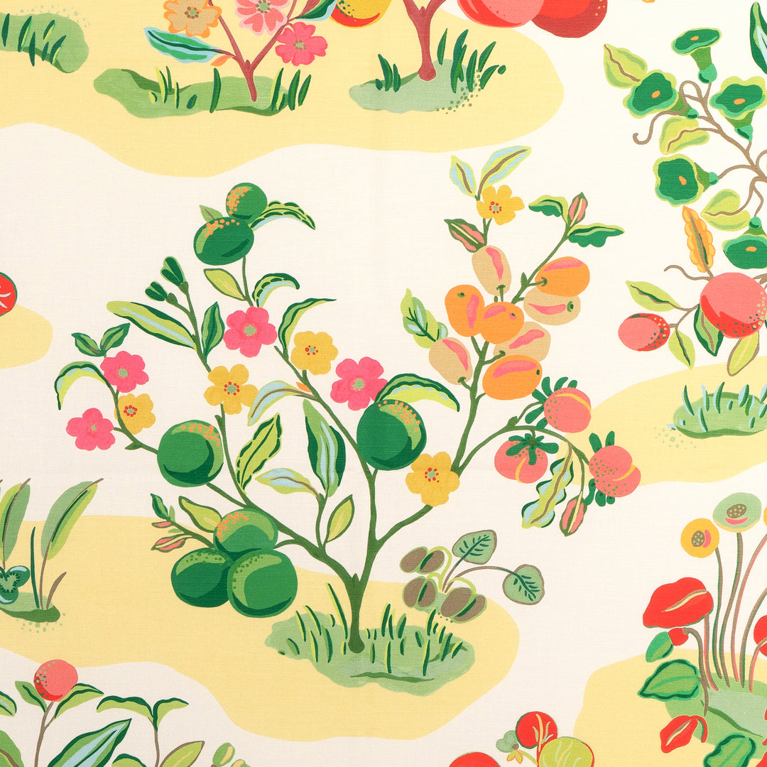 Pomelo Print - Spring 8024121.73.0 by Brunschwig & Fils Designer Fabric