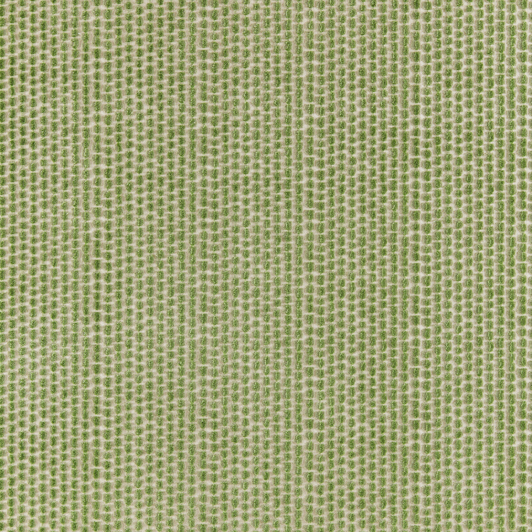 Templon Velvet - Sage 8025103.30.0 by Brunschwig & Fils Designer Fabric