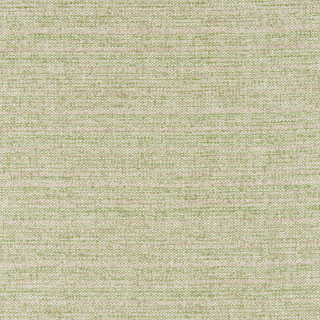 Garnier Texture - Leaf 8025109.3.0 by Brunschwig & Fils Designer Fabric