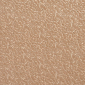 8059 Oat by Charlotte Designer Fabric