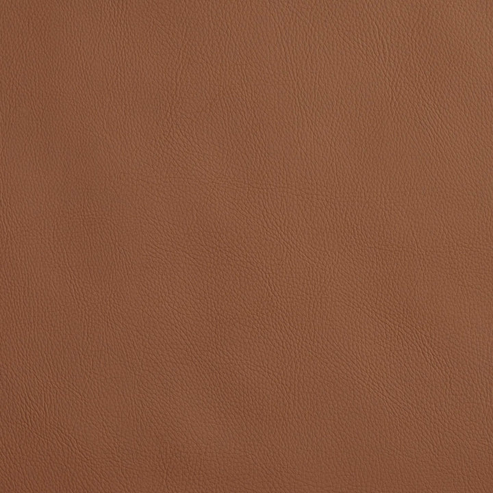 8066 Driftwood by Charlotte Designer Fabric UltraHyde Face: Vinyl/Polyurethane, Back: Polyester Microsuede, 29oz. Asia Exceeds 200,000 Wyzenbeek Rubs (Heavy Duty) No Repeat 54 Inches - Swanky Fabrics -