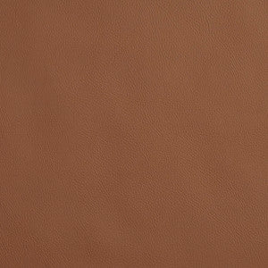 8066 Driftwood by Charlotte Designer Fabric