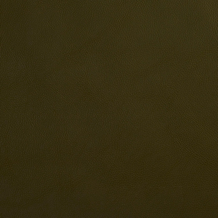 8068 Hunter by Charlotte Designer Fabric UltraHyde Face: Vinyl/Polyurethane, Back: Polyester Microsuede, 29oz. Asia Exceeds 2,000,000 Wyzenbeek Double Rubs (Heavy Duty) </p><p>Repeat: 54 Inches - Swanky Fabrics -