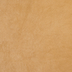 8069 Gold by Charlotte Designer Fabric