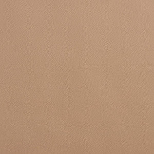 8075 Sandstone by Charlotte Designer Fabric