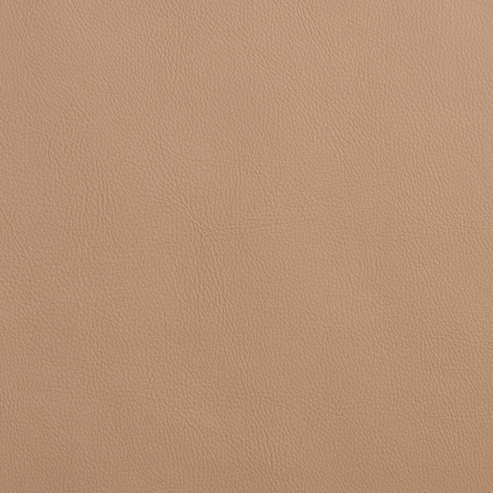 8075 Sandstone by Charlotte Designer Fabric UltraHyde Face: Vinyl/Polyurethane, Back: Polyester Microsuede, 29oz. Asia Exceeds 2,000,000 Wyzenbeek Double Rubs (Heavy Duty) </p><p>Repeat: 54 Inches - Swanky Fabrics -