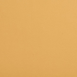 8077 Desert by Charlotte Designer Fabric